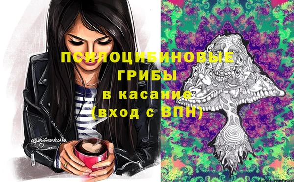 бошки Алзамай